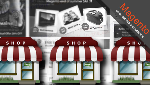 How to set up multiple store fronts in Magento