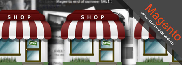 How to set up multiple store fronts in Magento