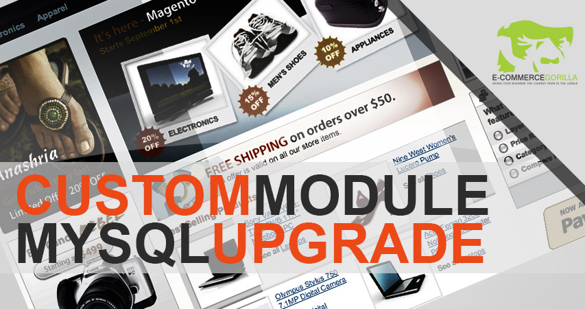 How to upgrade a Magento custom module mysql