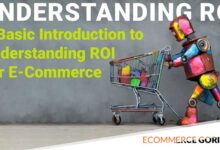 Introduction to return on investment ROI for new store owners