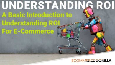 Introduction to return on investment ROI for new store owners