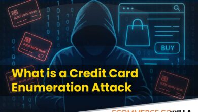 Illustration of a hacker targeting e-commerce websites using stolen credit card data.