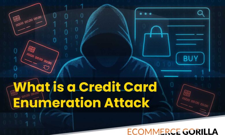 Illustration of a hacker targeting e-commerce websites using stolen credit card data.