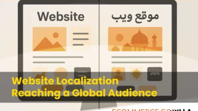 Globe illustration showing ecommerce icons and connections representing global website